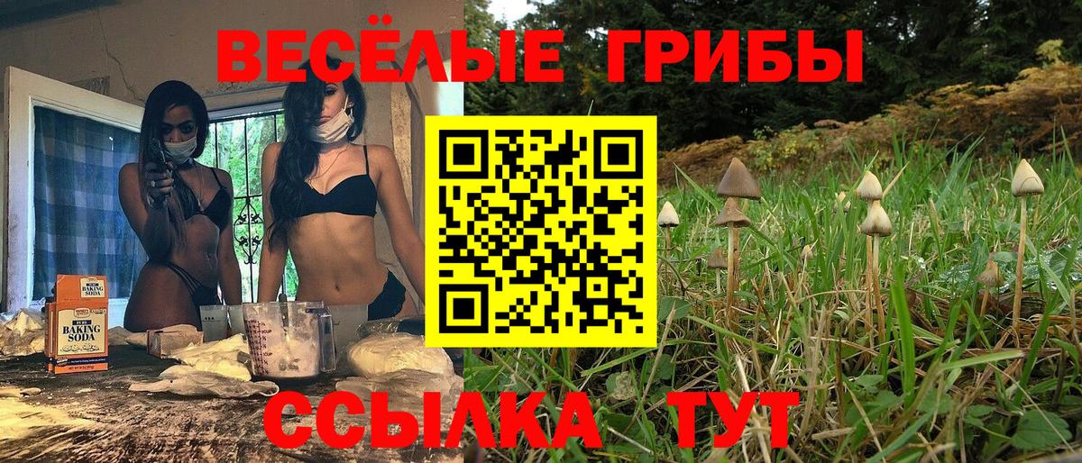 Псилоцибиновые грибы Psilocybe  Вход с VPN  Верхний Уфалей 